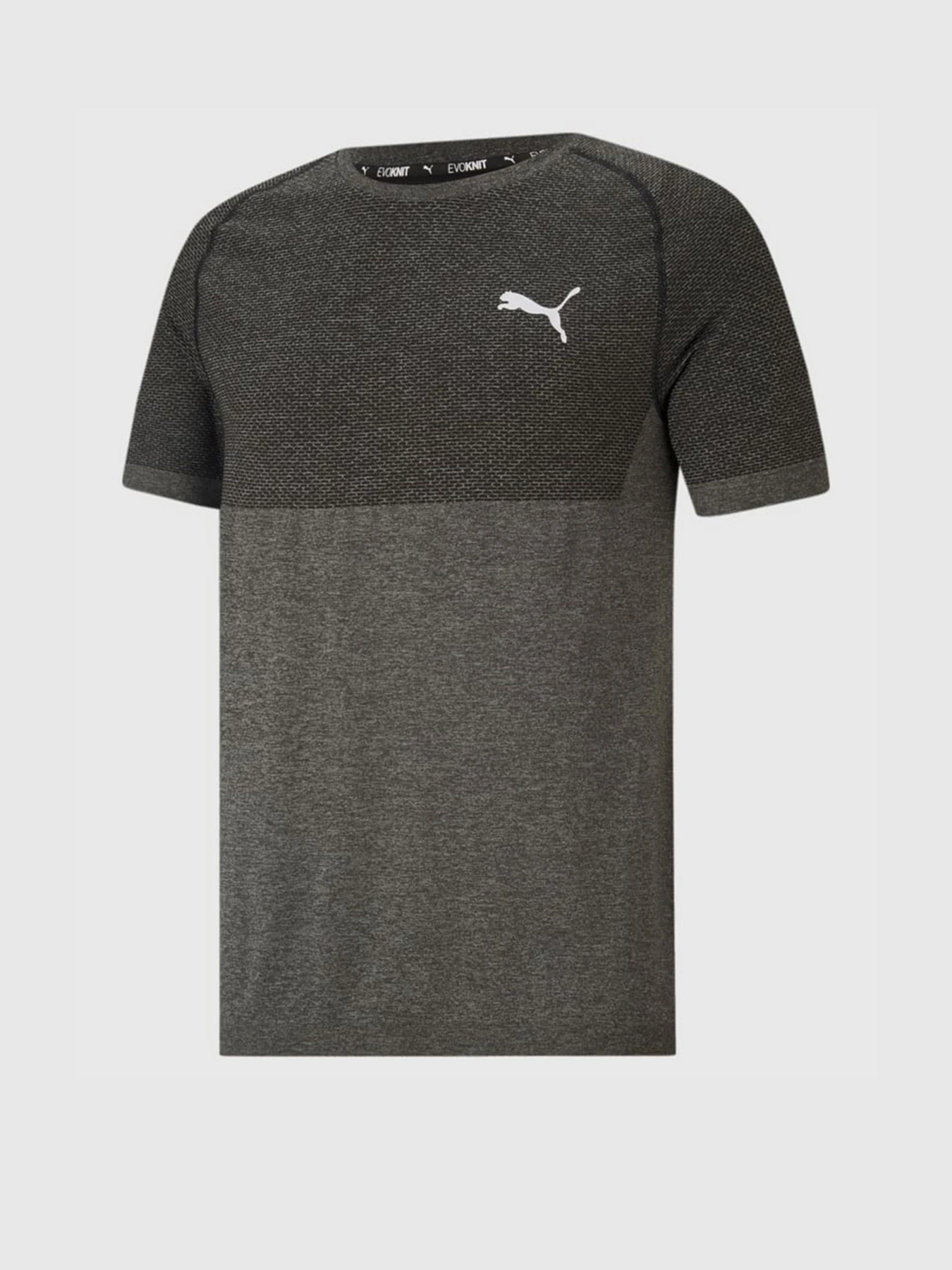 Футболки и поло PUMA evoKNIT RTG Basic модель 58582801 Футболки и поло PUMA evoKNIT RTG Basic модель 58582801 Фото