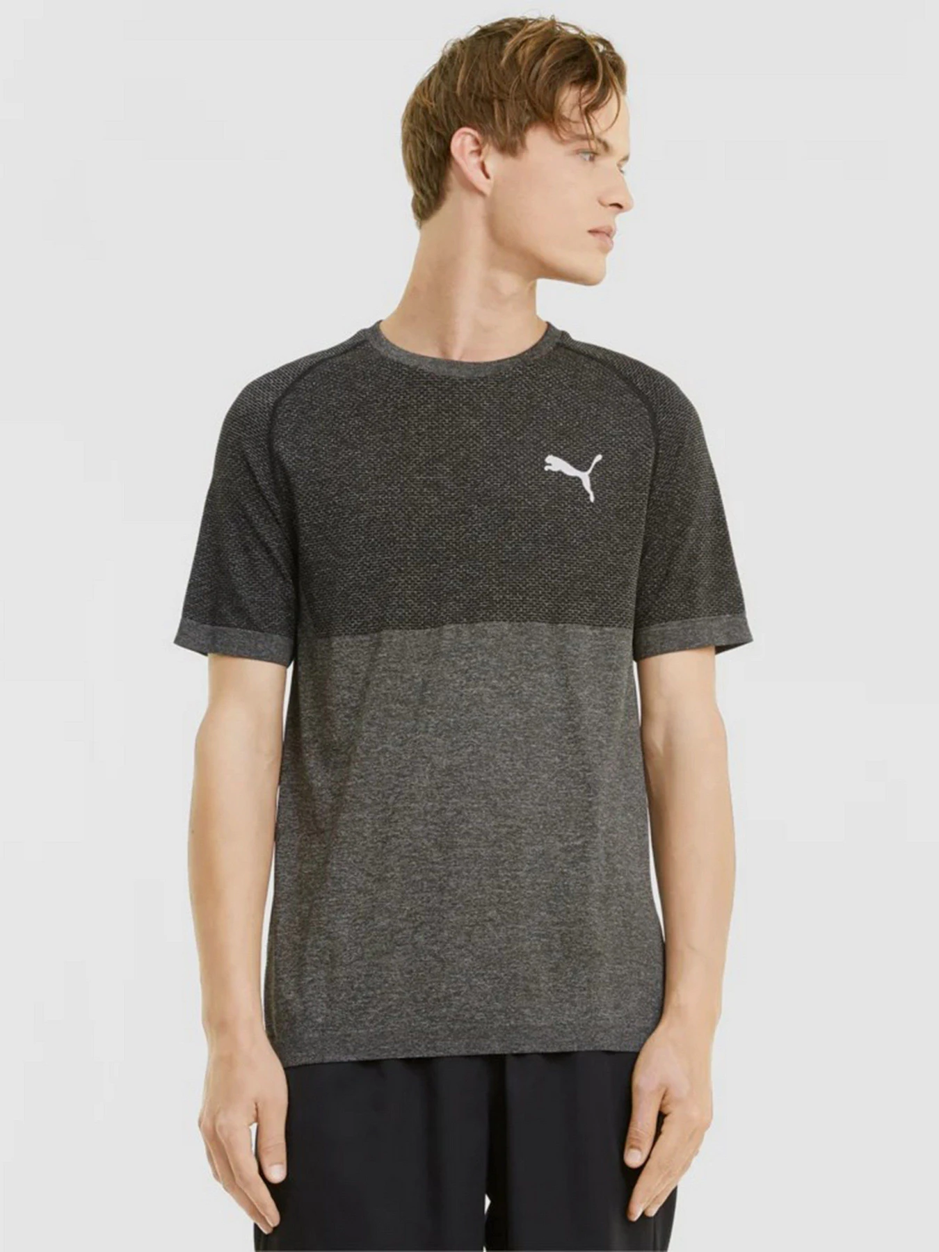 Футболки и поло PUMA evoKNIT RTG Basic модель 58582801 Футболки и поло PUMA evoKNIT RTG Basic модель 58582801 Фото