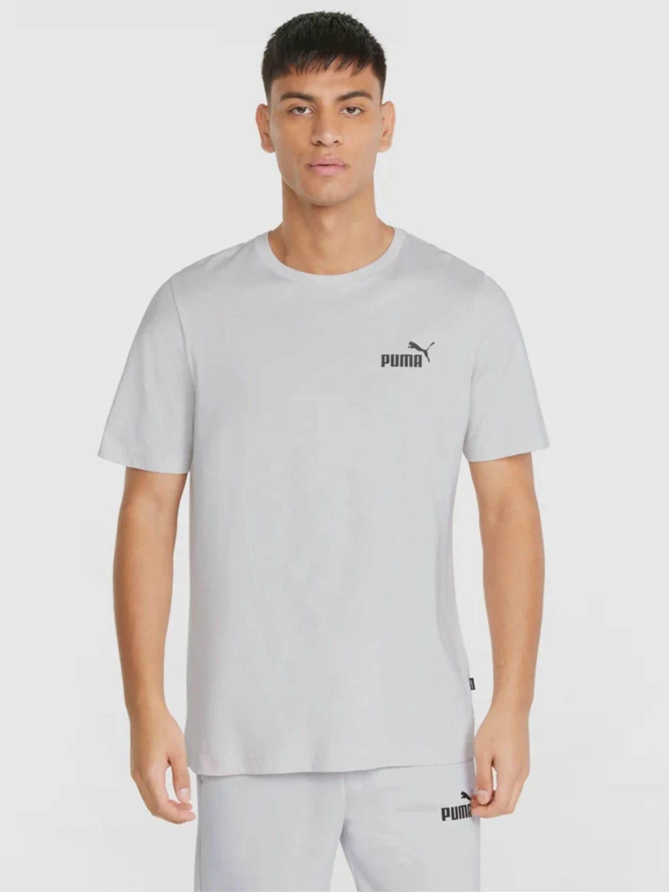 Футболки и поло PUMA Essentials Small Logo модель 58666972 Футболки и поло PUMA Essentials Small Logo модель 58666972 Фото