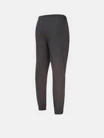 Брюки PUMA Chino Pants модель 53741418 Фото