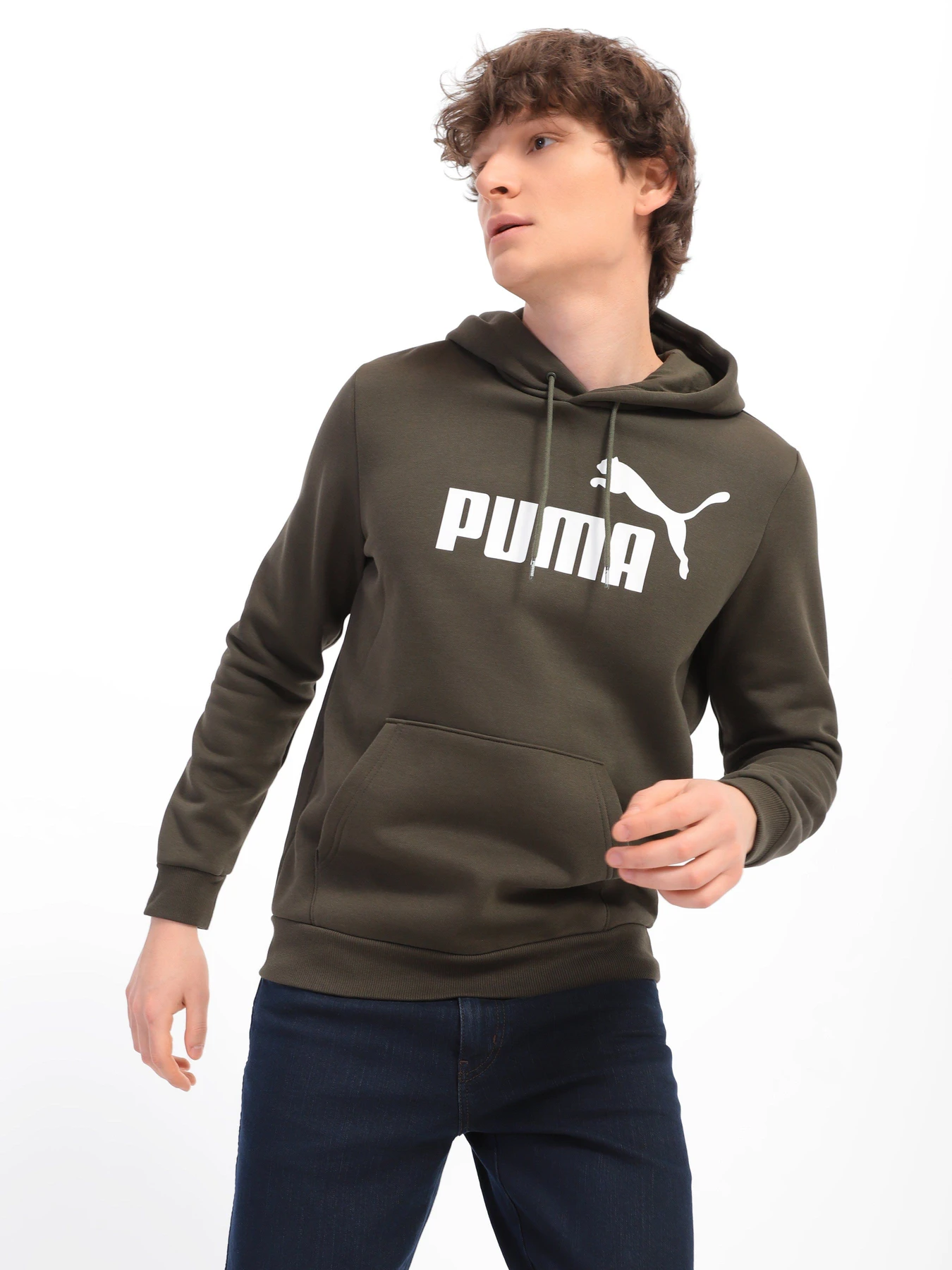Худи и свитшоты PUMA Essentials Big Logo модель 58668770 Худи и свитшоты PUMA Essentials Big Logo модель 58668770 Фото