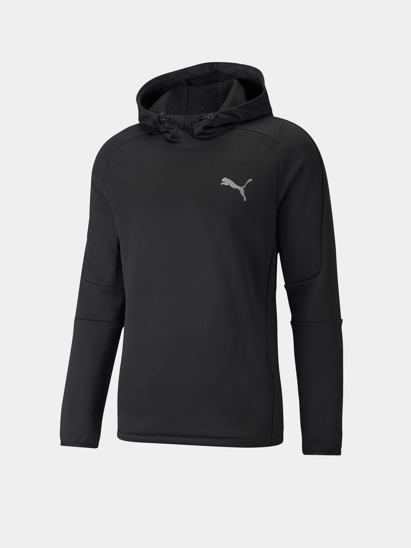 Худи и свитшоты PUMA Evostripe модель 58943601 Худи и свитшоты PUMA Evostripe модель 58943601 Фото