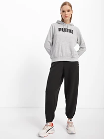 Худі та світшоти PUMA Essentials модель 84719603 Фото