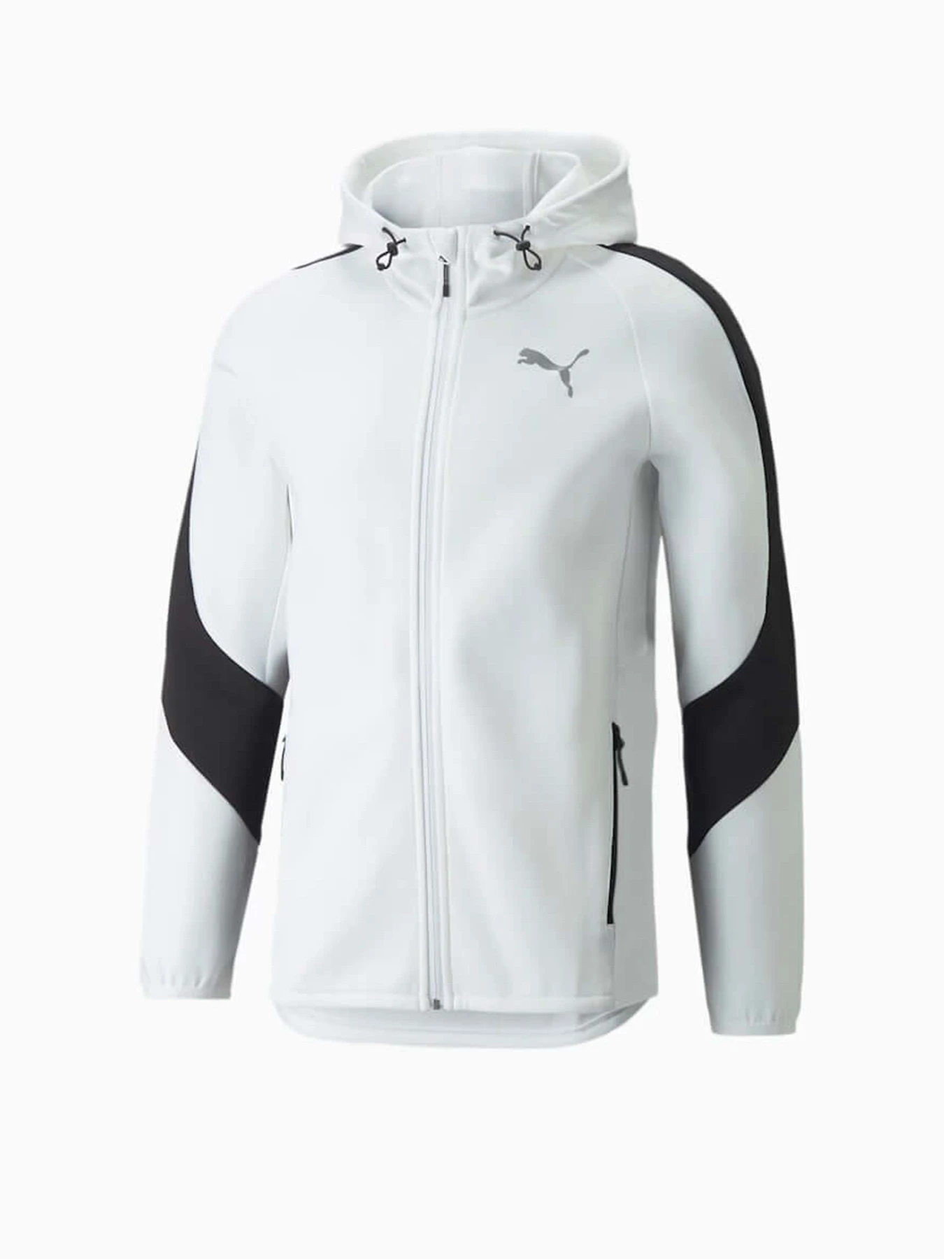Худи и свитшоты PUMA Evostripe Full-Zip модель 84740102 Худи и свитшоты PUMA Evostripe Full-Zip модель 84740102 Фото