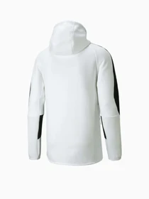 Худи и свитшоты PUMA Evostripe Full-Zip модель 84740102 Фото