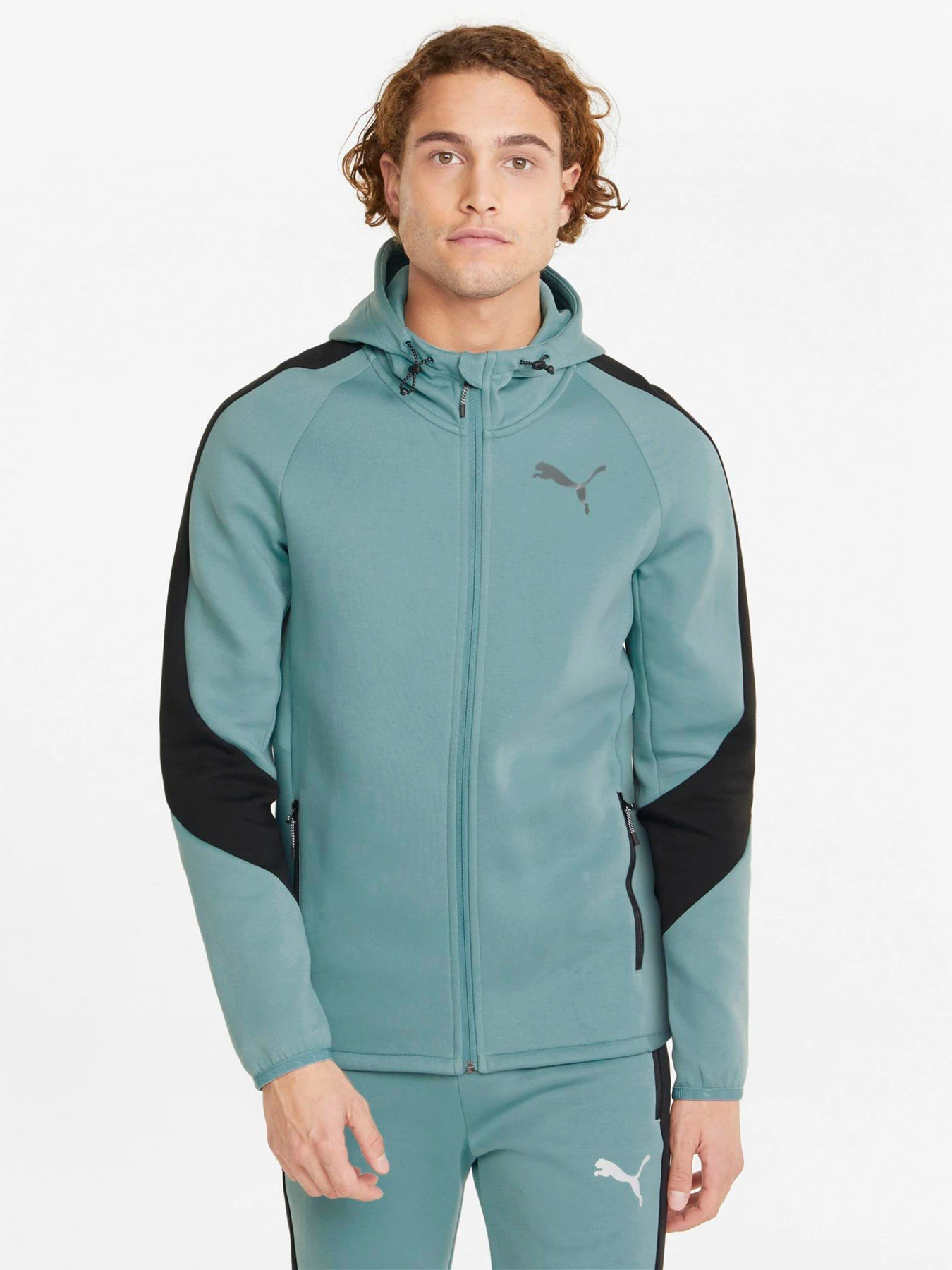 Худи и свитшоты PUMA Evostripe Full-Zip модель 84740150 Худи и свитшоты PUMA Evostripe Full-Zip модель 84740150 Фото