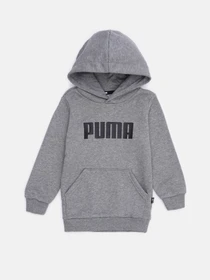 Худи и свитшоты PUMA ESS Hoodie модель 84759702 Фото
