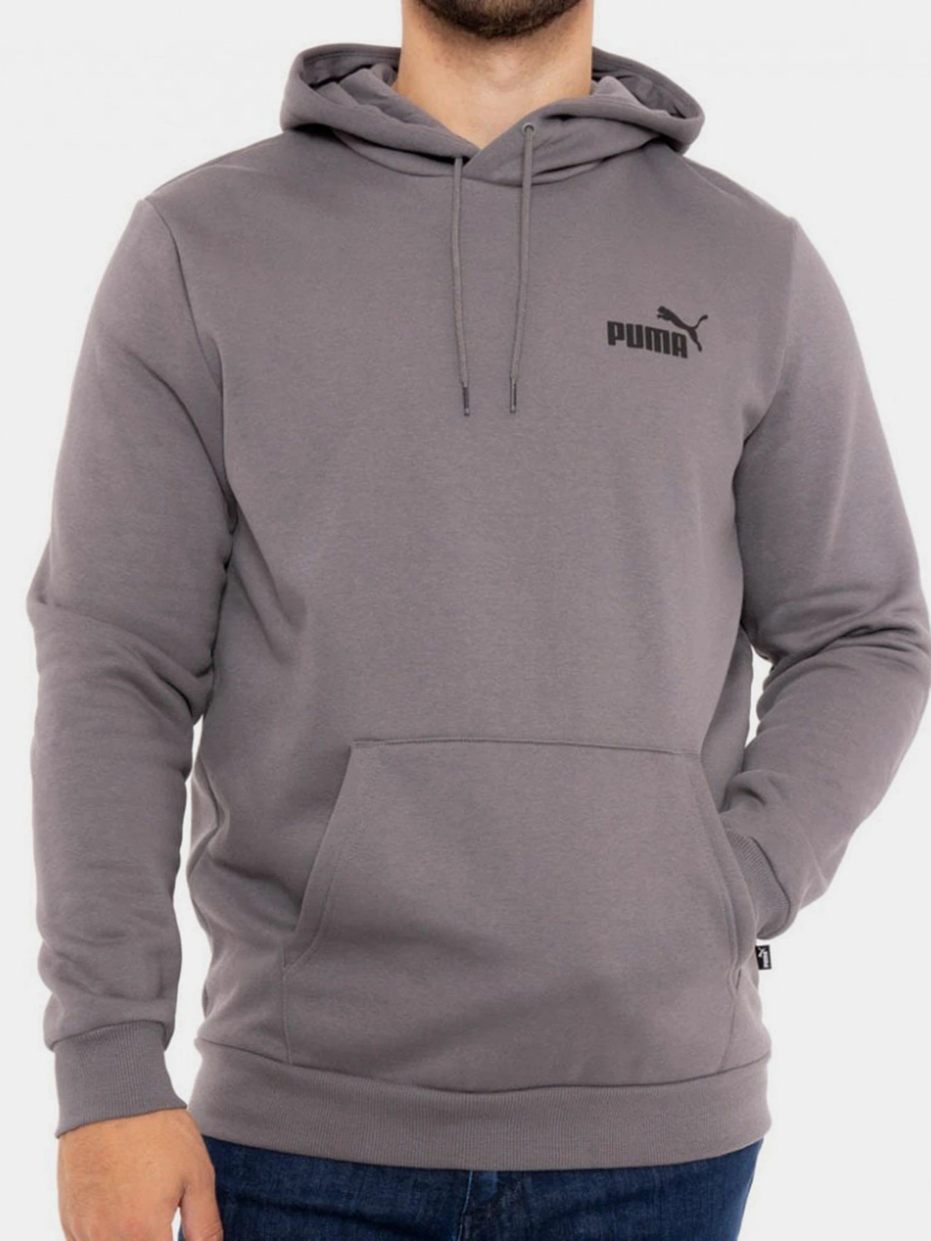Худи и свитшоты PUMA ESSENTIALS SMALL LOGO модель 58669115 Худи и свитшоты PUMA ESSENTIALS SMALL LOGO модель 58669115 Фото