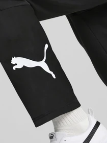 Брюки PUMA Power Cat модель 84992701 Фото