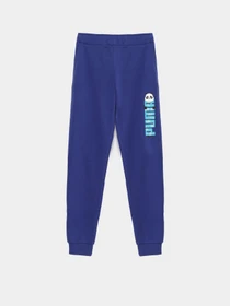 Брюки PUMA Paw модель 58622412 Фото