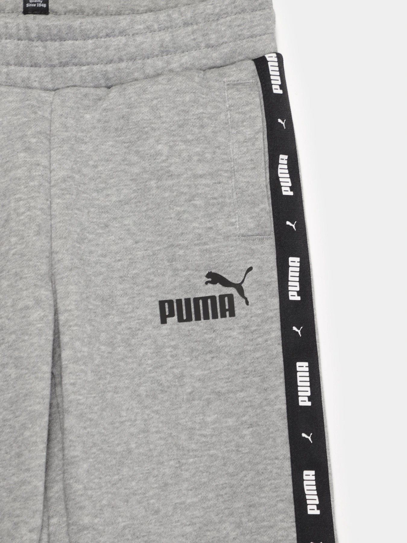 Штани PUMA Essentials+ модель 84730203 Фото