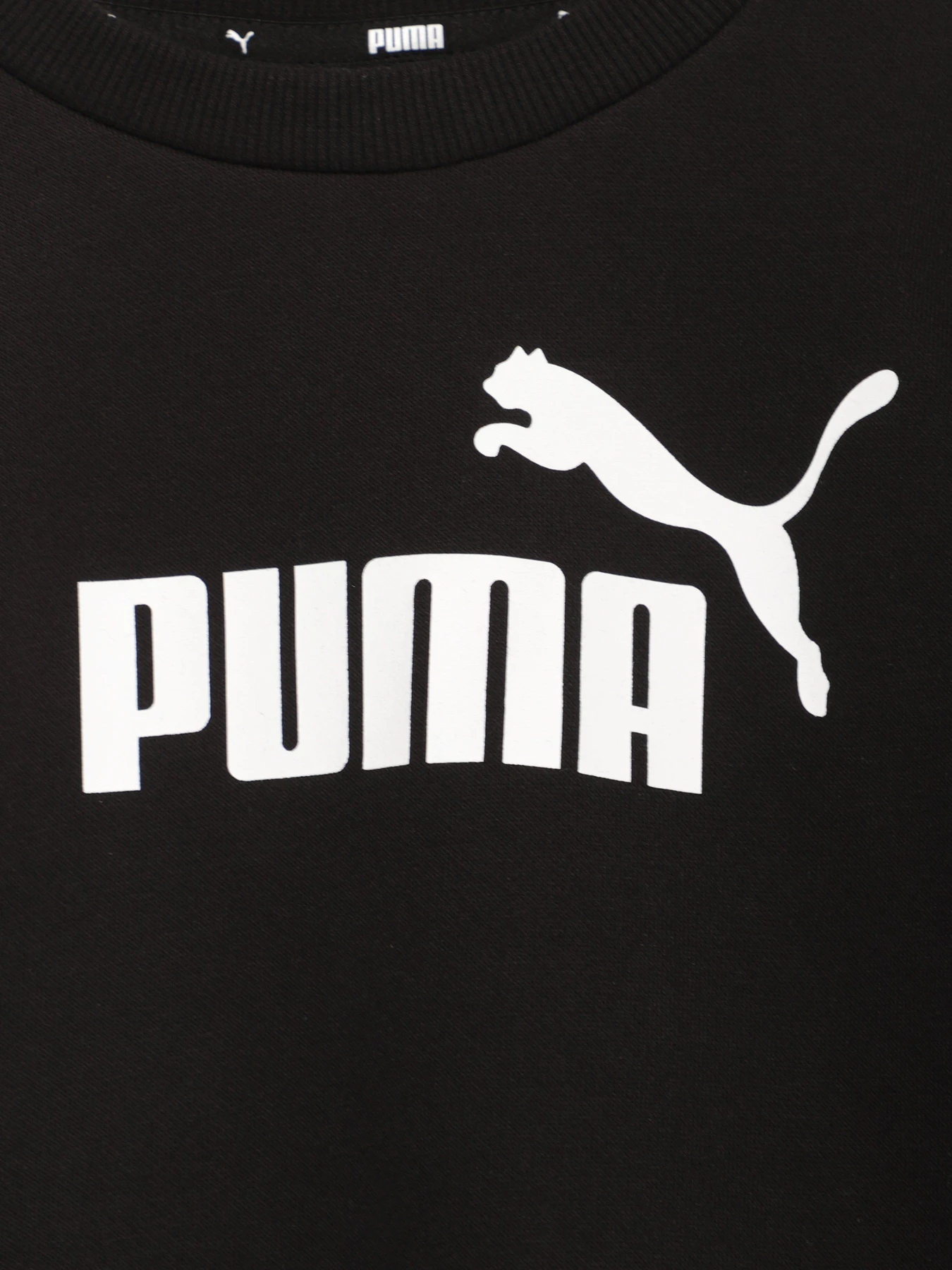Костюмы PUMA Essentials No. 1 модель 67088401 Костюмы PUMA Essentials No. 1 модель 67088401 Фото