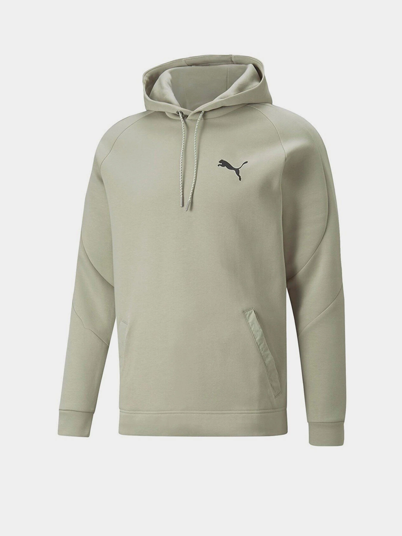 Худи и свитшоты PUMA Day in Motion модель 67110268 Худи и свитшоты PUMA Day in Motion модель 67110268 Фото