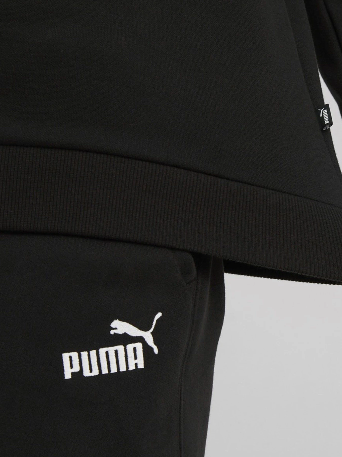 Худі та світшоти PUMA Essentials Elevated Crew модель 84988501 Фото