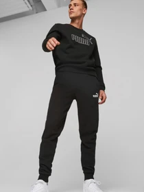 Худі та світшоти PUMA Essentials Elevated Crew модель 84988501 Фото
