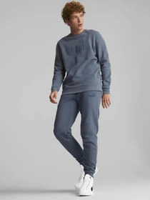 Худі та світшоти PUMA Essentials Elevated Crew модель 84988518 Фото