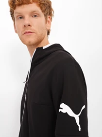 Худи и свитшоты PUMA Power Cat Full-Zip модель 84992601 Фото