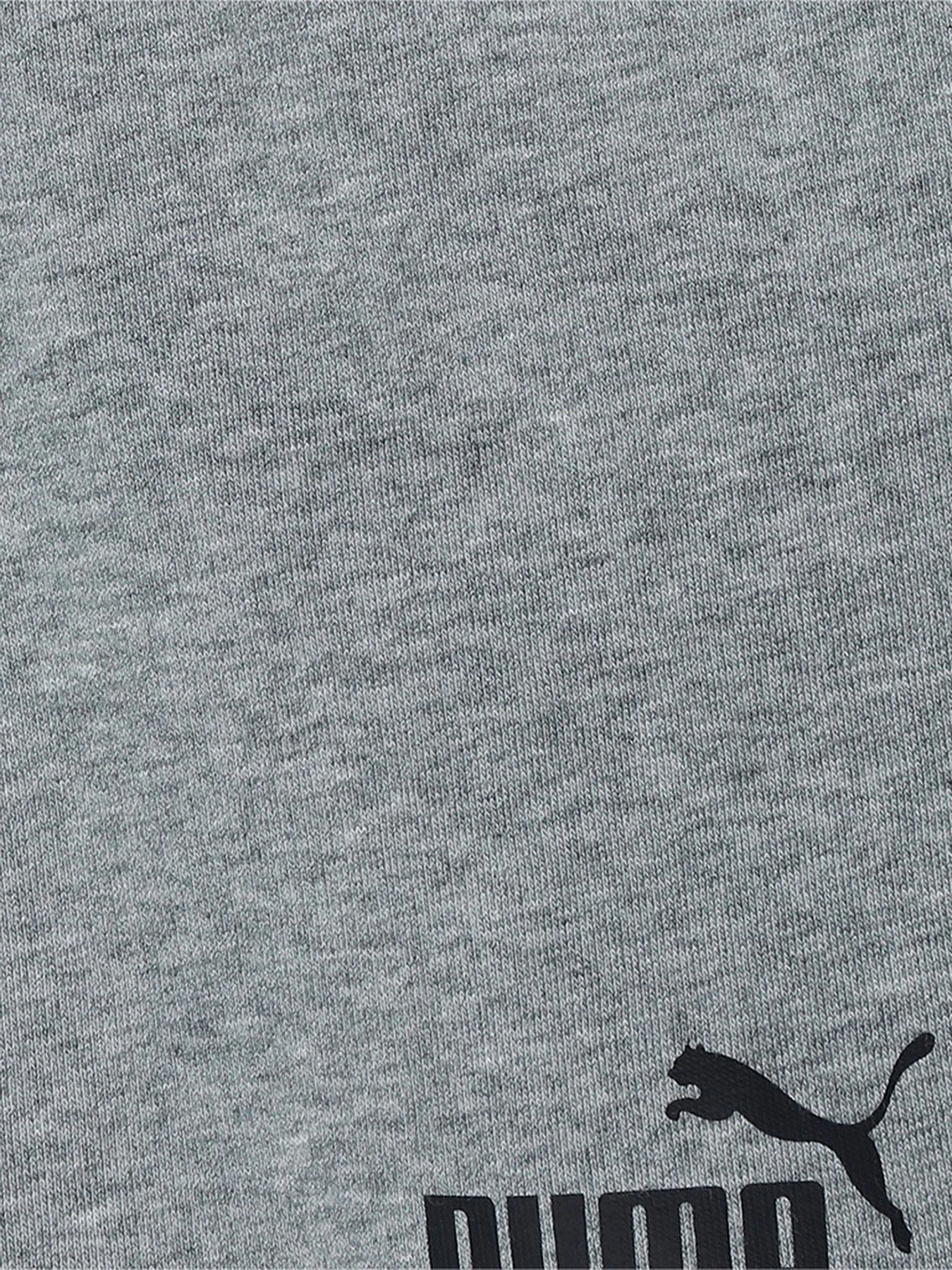 Шорты PUMA ESSENTIALS модель 58697203 Шорты PUMA ESSENTIALS модель 58697203 Фото