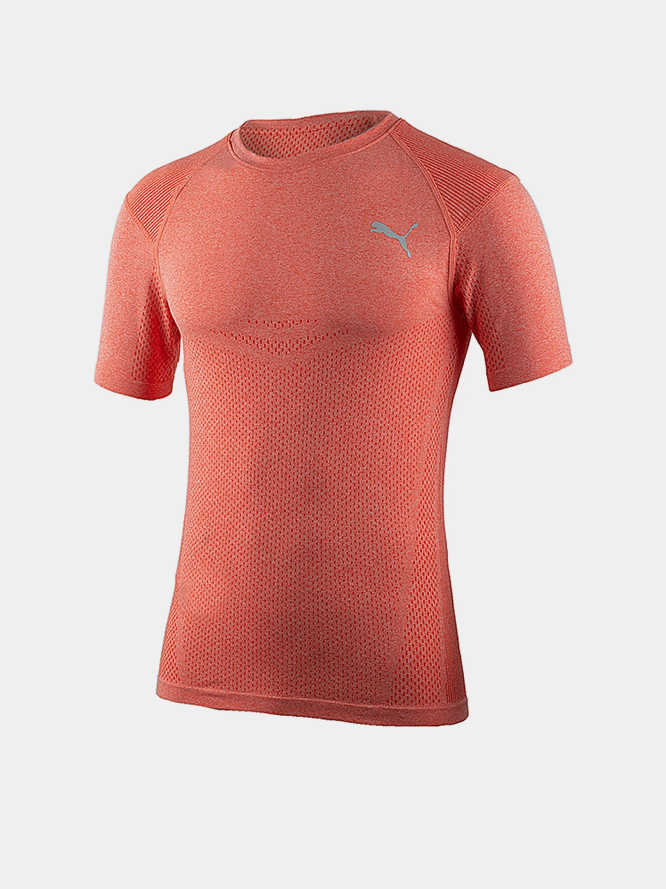Футболки и поло PUMA EVOKNIT модель 52151225 Футболки и поло PUMA EVOKNIT модель 52151225 Фото