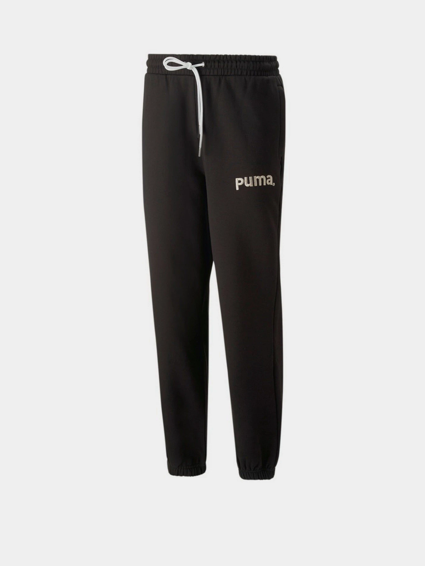 Брюки PUMA TEAM модель 53826101 Фото