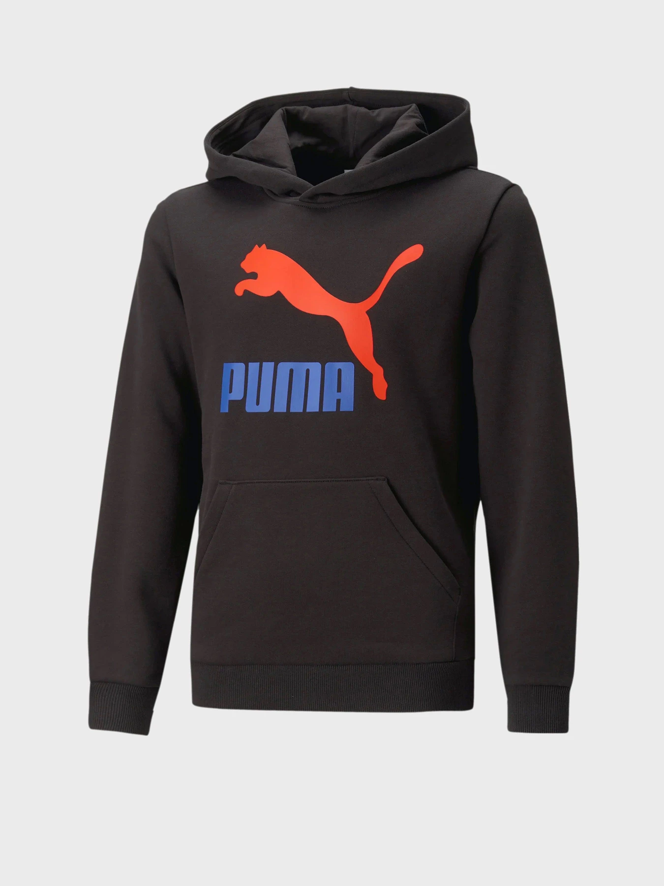 Худі та світшоти PUMA Classics модель 53952701 Худі та світшоти PUMA Classics модель 53952701 Фото