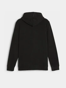 Худі та світшоти PUMA ESSENTIALS ELEVATED FULL-ZIP модель 68189301 Фото