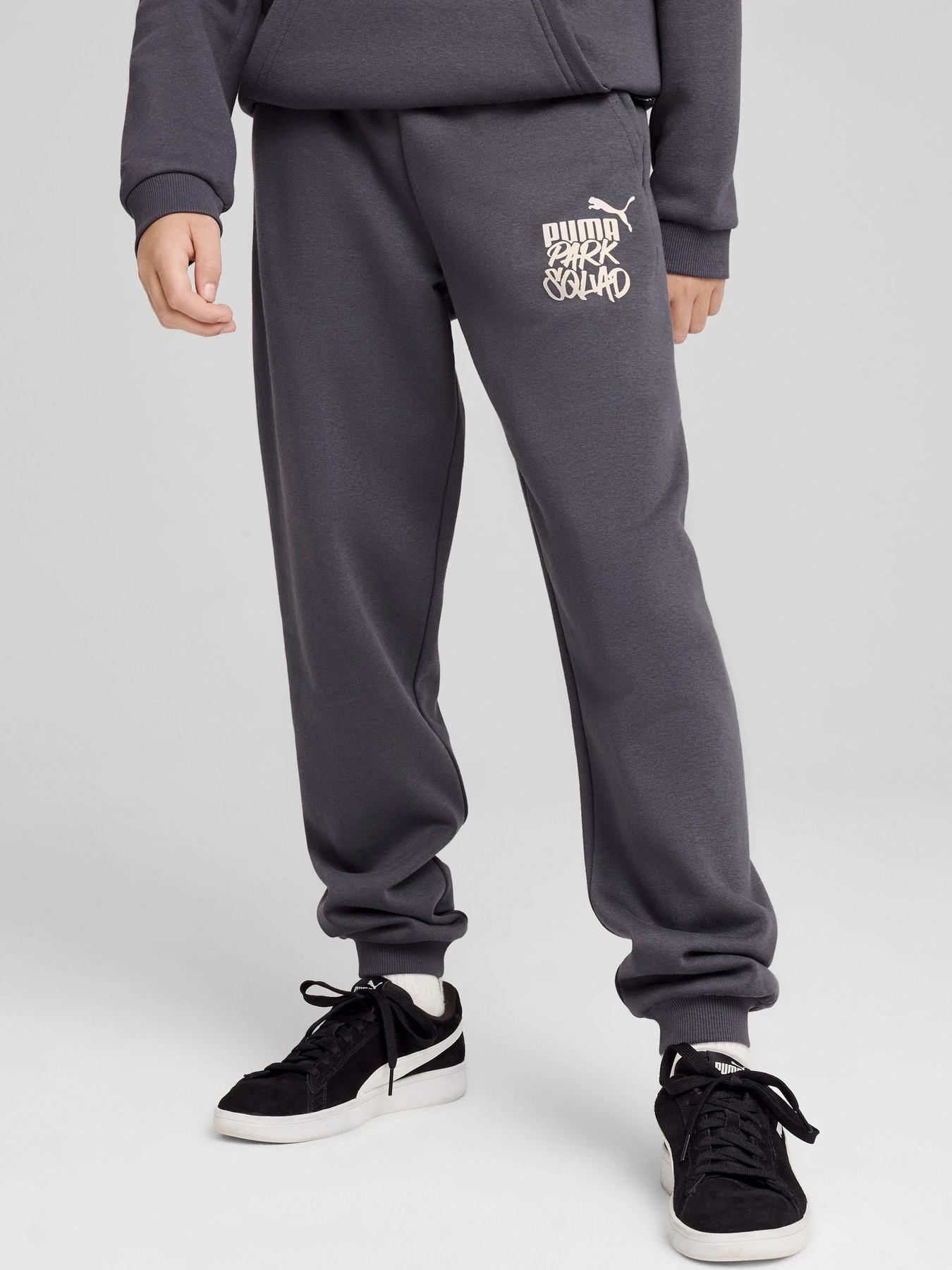 Брюки PUMA ESS+ MID 90S модель 68187869 Брюки PUMA ESS+ MID 90S модель 68187869 Фото