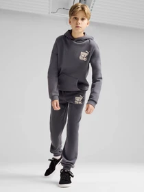 Брюки PUMA ESS+ MID 90S модель 68187869 Фото