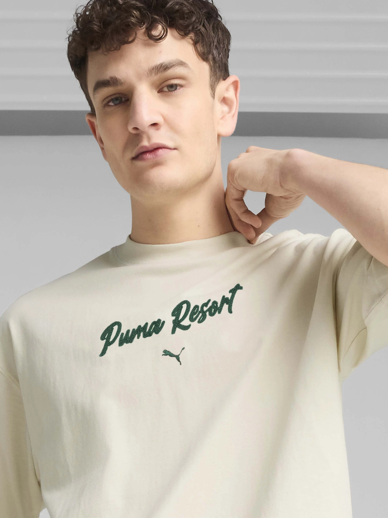 Футболки и поло PUMA PREMIUM ESSENTIALS OVERSIZED G модель 62966687 Футболки и поло PUMA PREMIUM ESSENTIALS OVERSIZED G модель 62966687 Фото