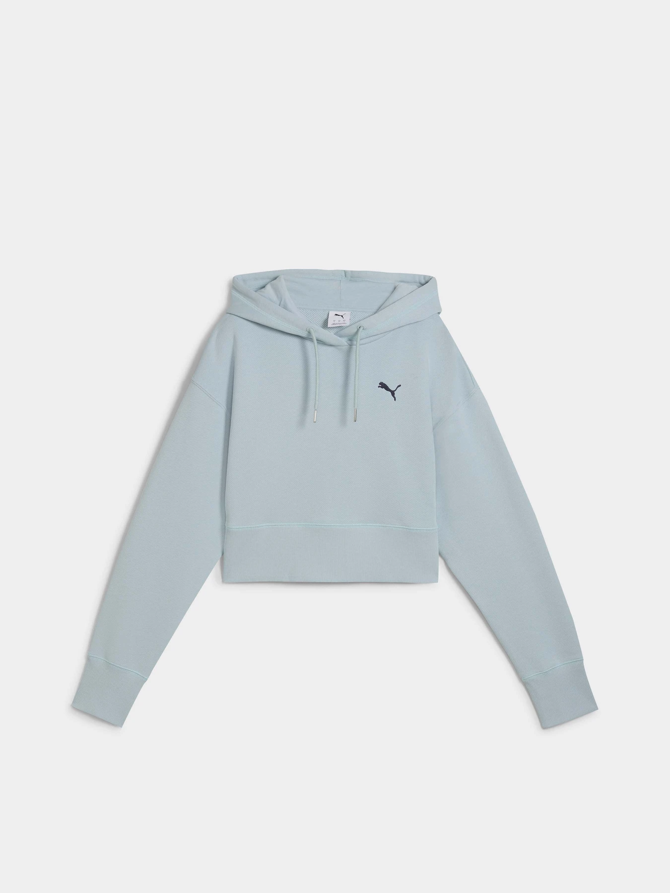 Худи и свитшоты PUMA PREMIUM ESSENTIALS RELAXED GRA модель 62977867 Фото