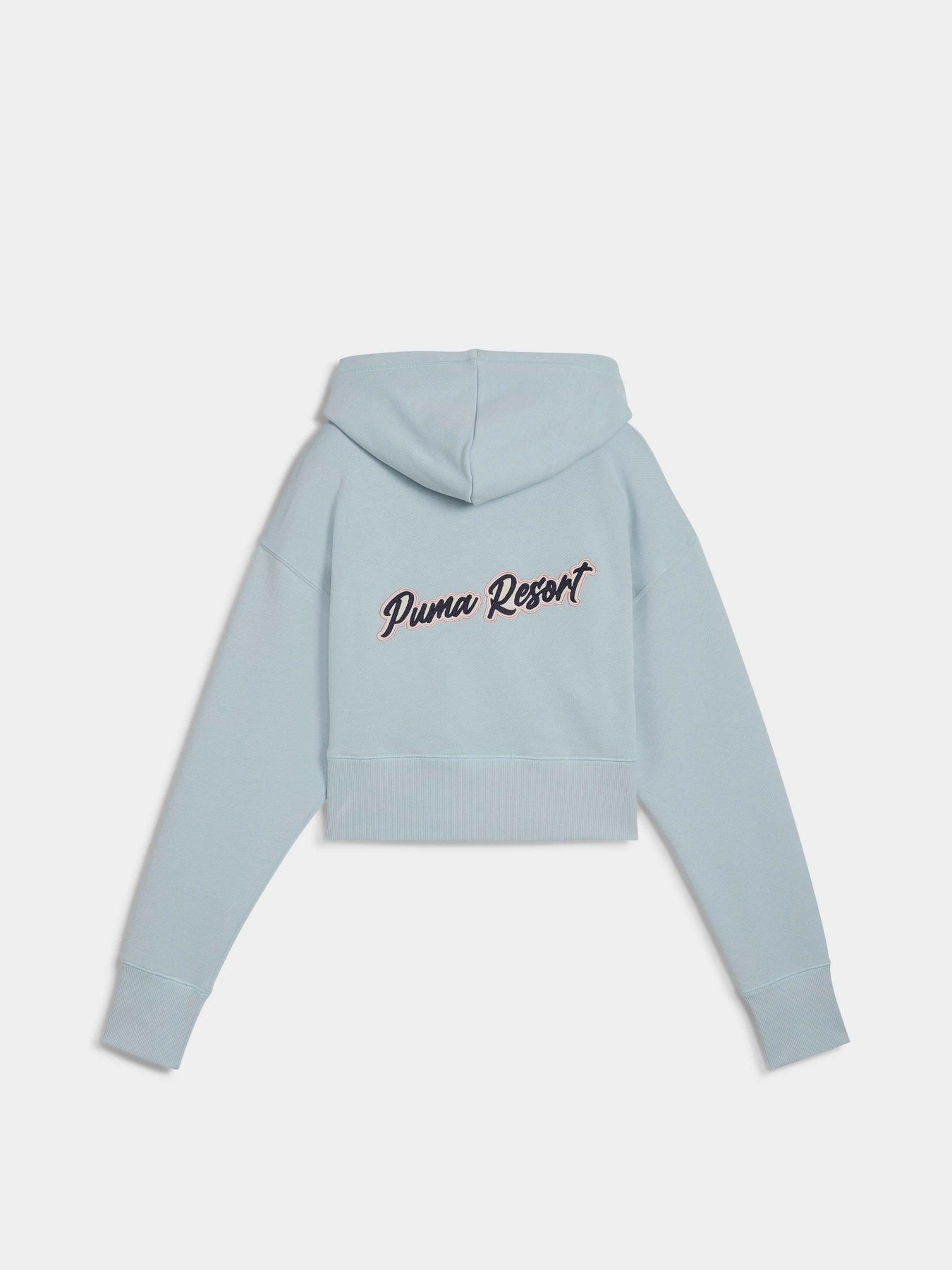 Худи и свитшоты PUMA PREMIUM ESSENTIALS RELAXED GRA модель 62977867 Фото