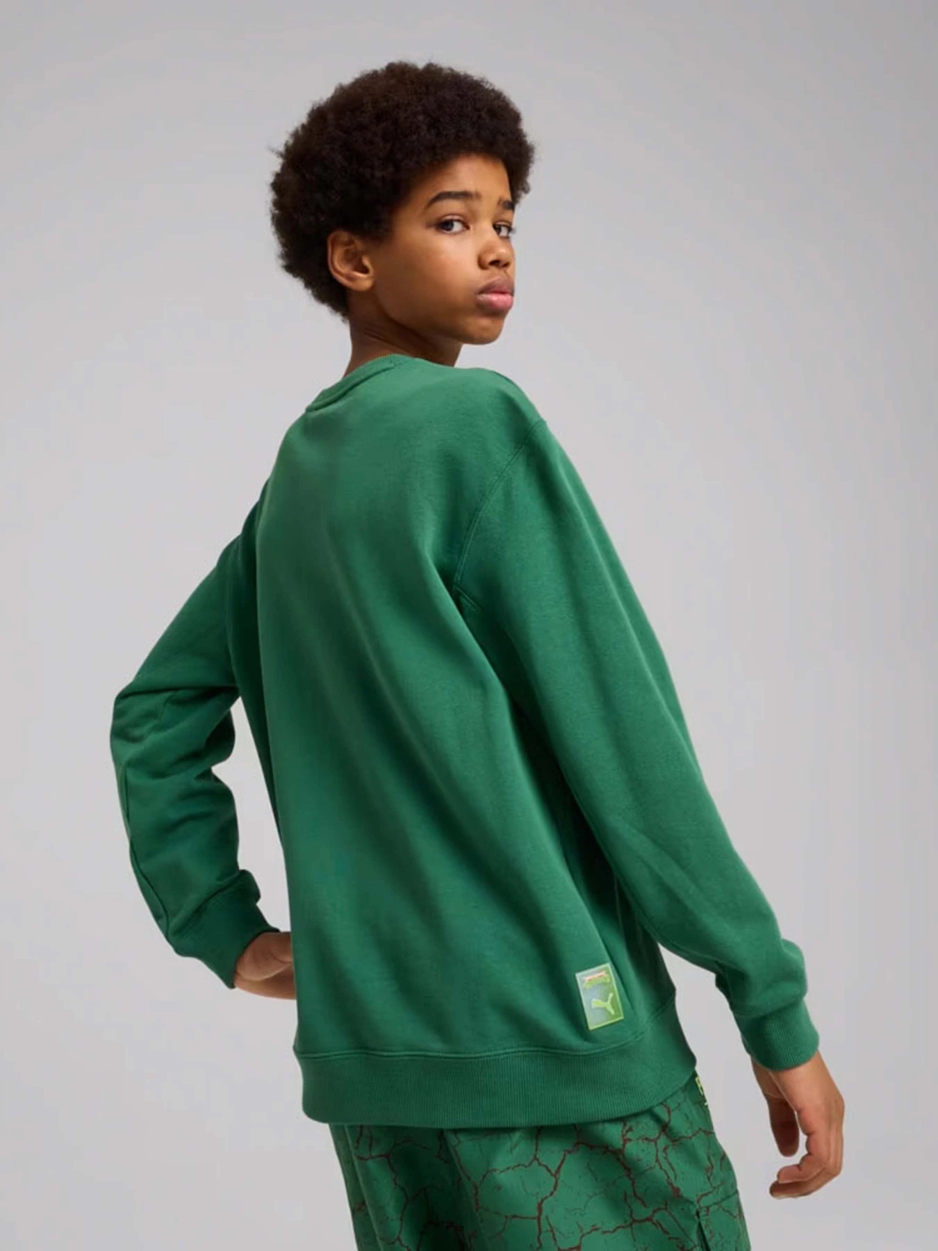 Худі та світшоти PUMA HOOPS X TMNT модель 63008537 Фото