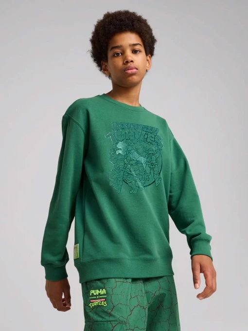Худі та світшоти PUMA HOOPS X TMNT модель 63008537 Фото