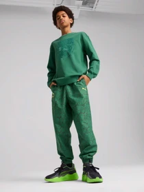 Худі та світшоти PUMA HOOPS X TMNT модель 63008537 Фото