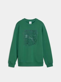 Худі та світшоти PUMA HOOPS X TMNT модель 63008537 Фото