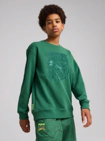 Худі та світшоти PUMA HOOPS X TMNT модель 63008537 Фото