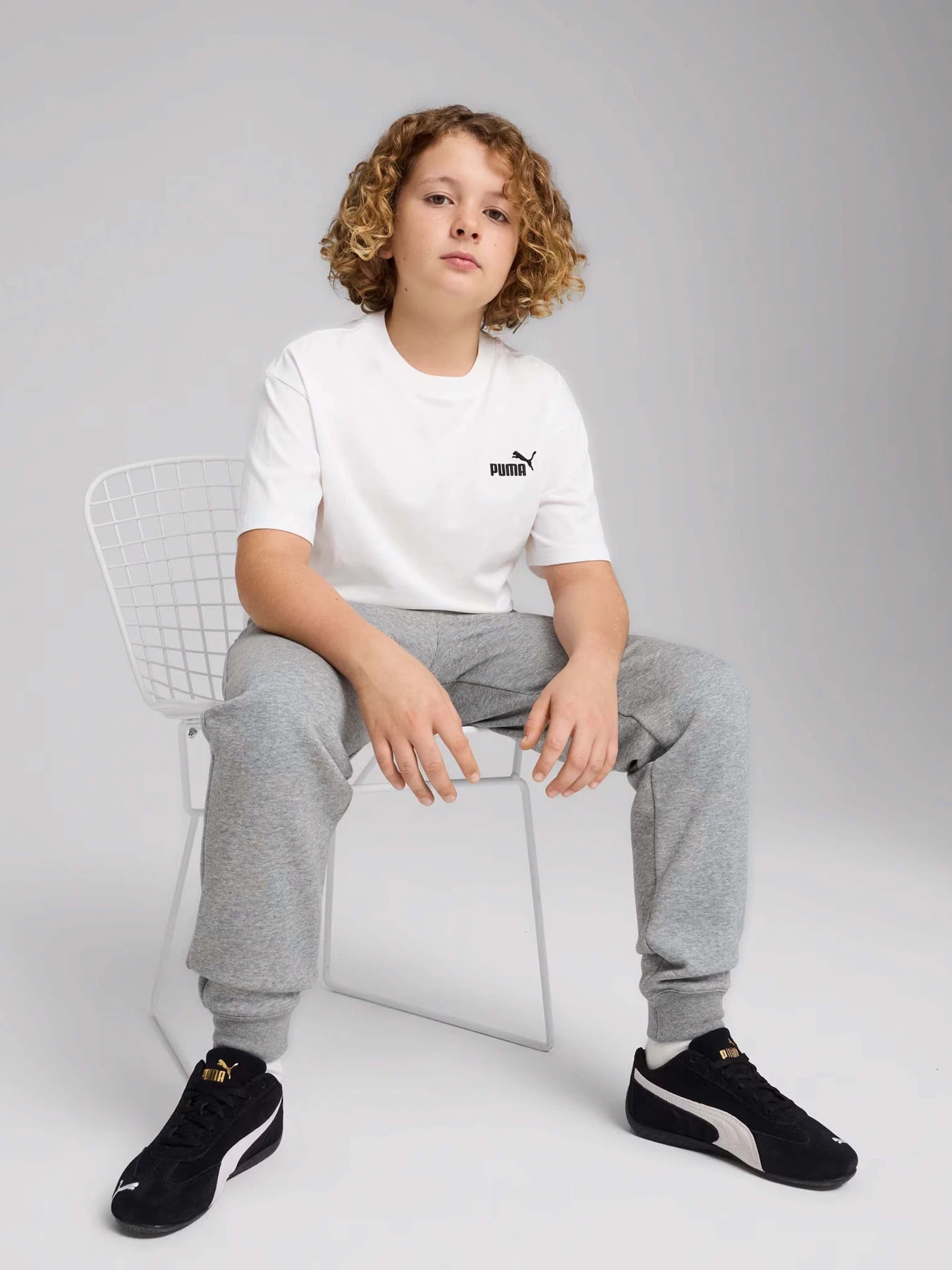 Футболки і поло PUMA ESSENTIALS SMALL NO. 1 LOGO RE модель 68492002 Фото