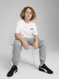 Футболки і поло PUMA ESSENTIALS SMALL NO. 1 LOGO RE модель 68492002 Фото