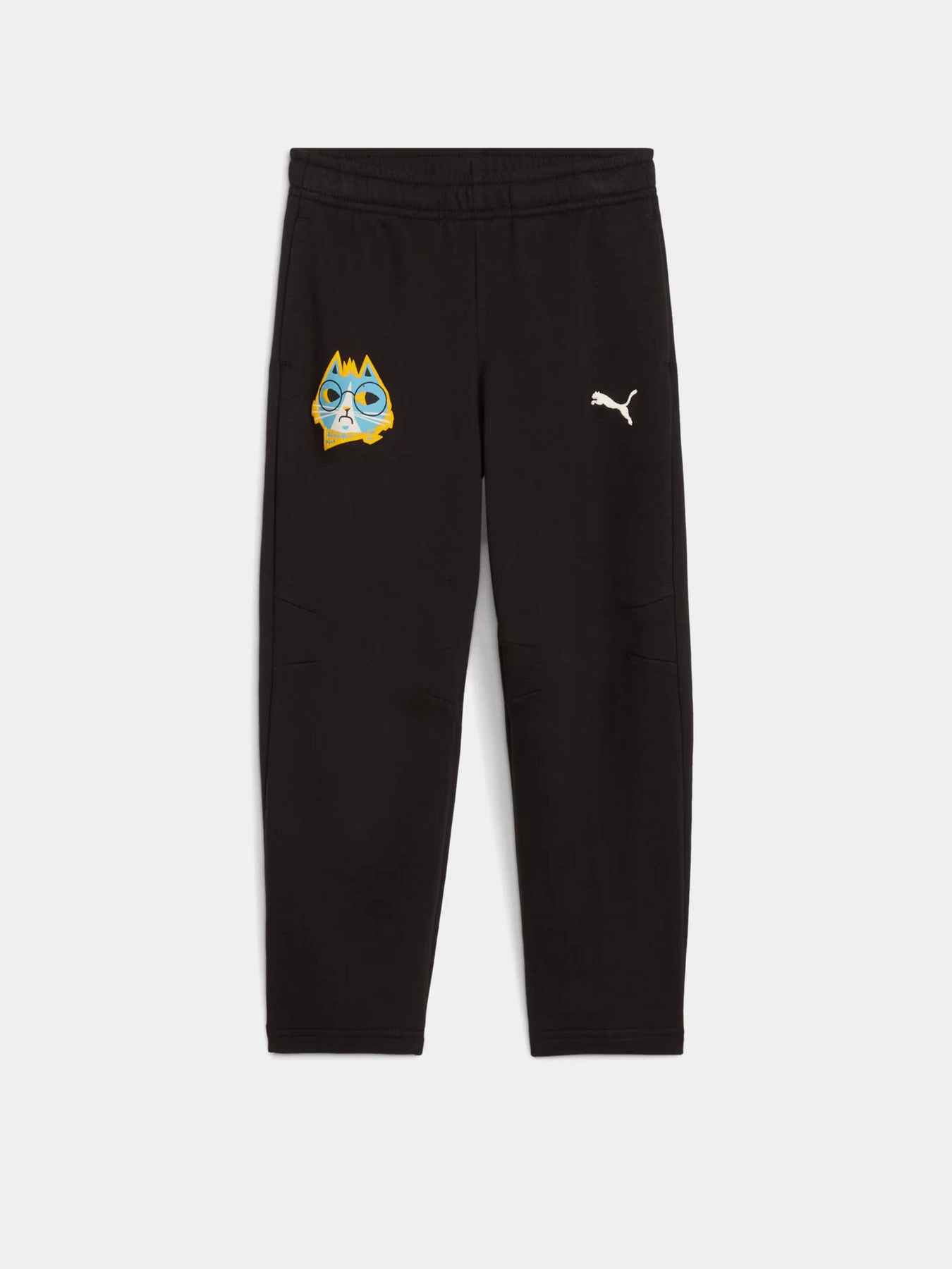 Штани PUMA MOODY CAT SWEATPANTS KIDS модель 63220901 Фото