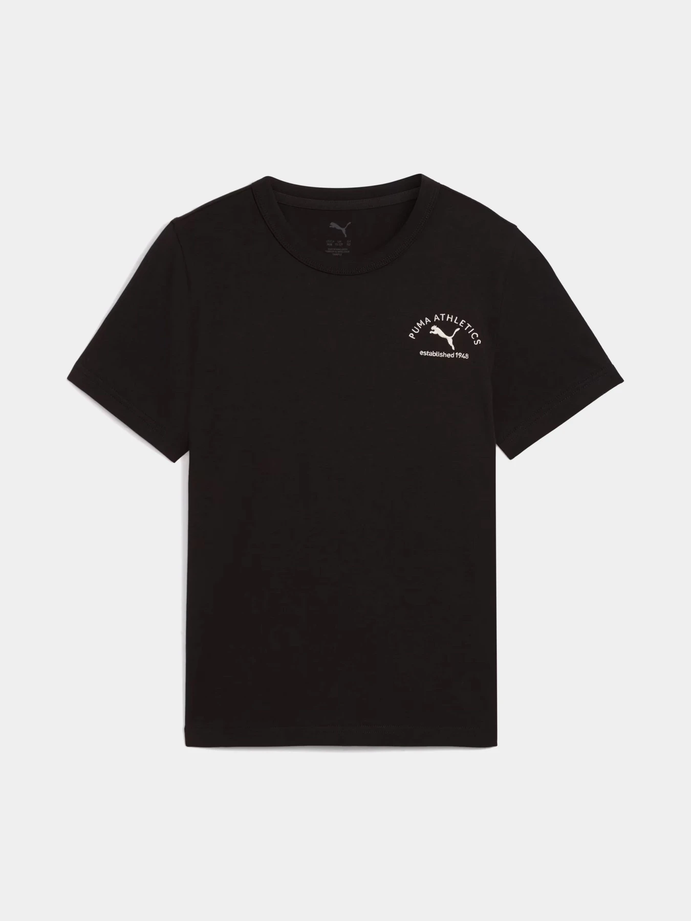 Футболки і поло PUMA CLASS GRAPHIC TEE модель 68885001 Фото