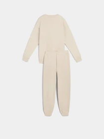 Костюми PUMA SWEAT модель 68816087 Фото