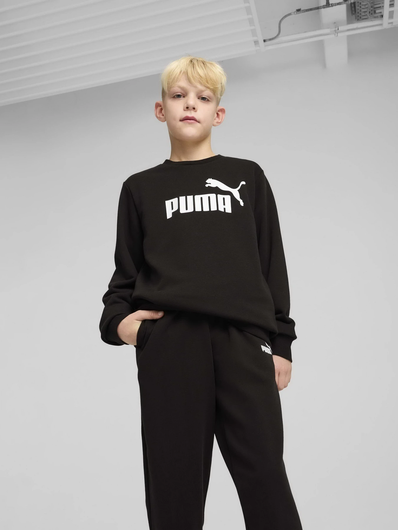 Костюмы PUMA ESS NO.1 LOGO CREW SWEAT SUIT модель 68629601 Костюмы PUMA ESS NO.1 LOGO CREW SWEAT SUIT модель 68629601 Фото