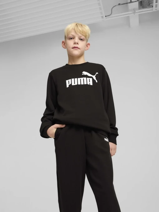Костюмы PUMA ESS NO.1 LOGO CREW SWEAT SUIT модель 68629601 Фото