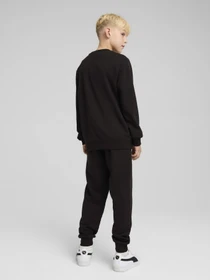 Костюмы PUMA ESS NO.1 LOGO CREW SWEAT SUIT модель 68629601 Фото
