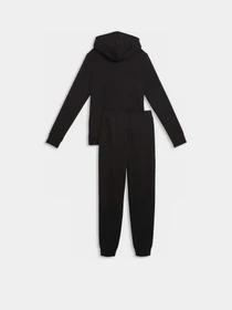 Костюми PUMA HOODED SWEAT SUIT TR CL модель 69190201 Фото