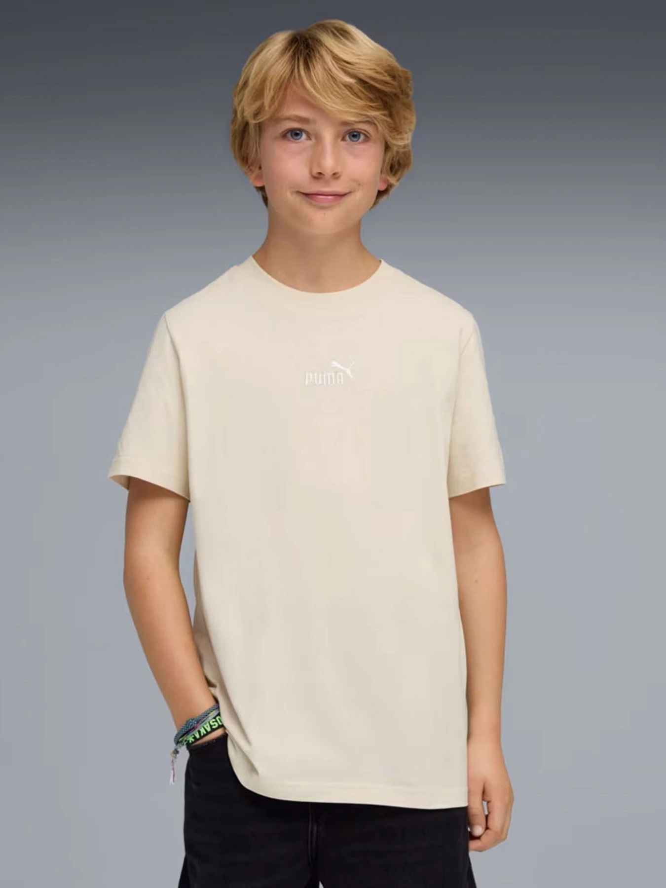 Футболки и поло PUMA ESS SMALL NO.1 LOGO модель 69297587 Футболки и поло PUMA ESS SMALL NO.1 LOGO модель 69297587 Фото