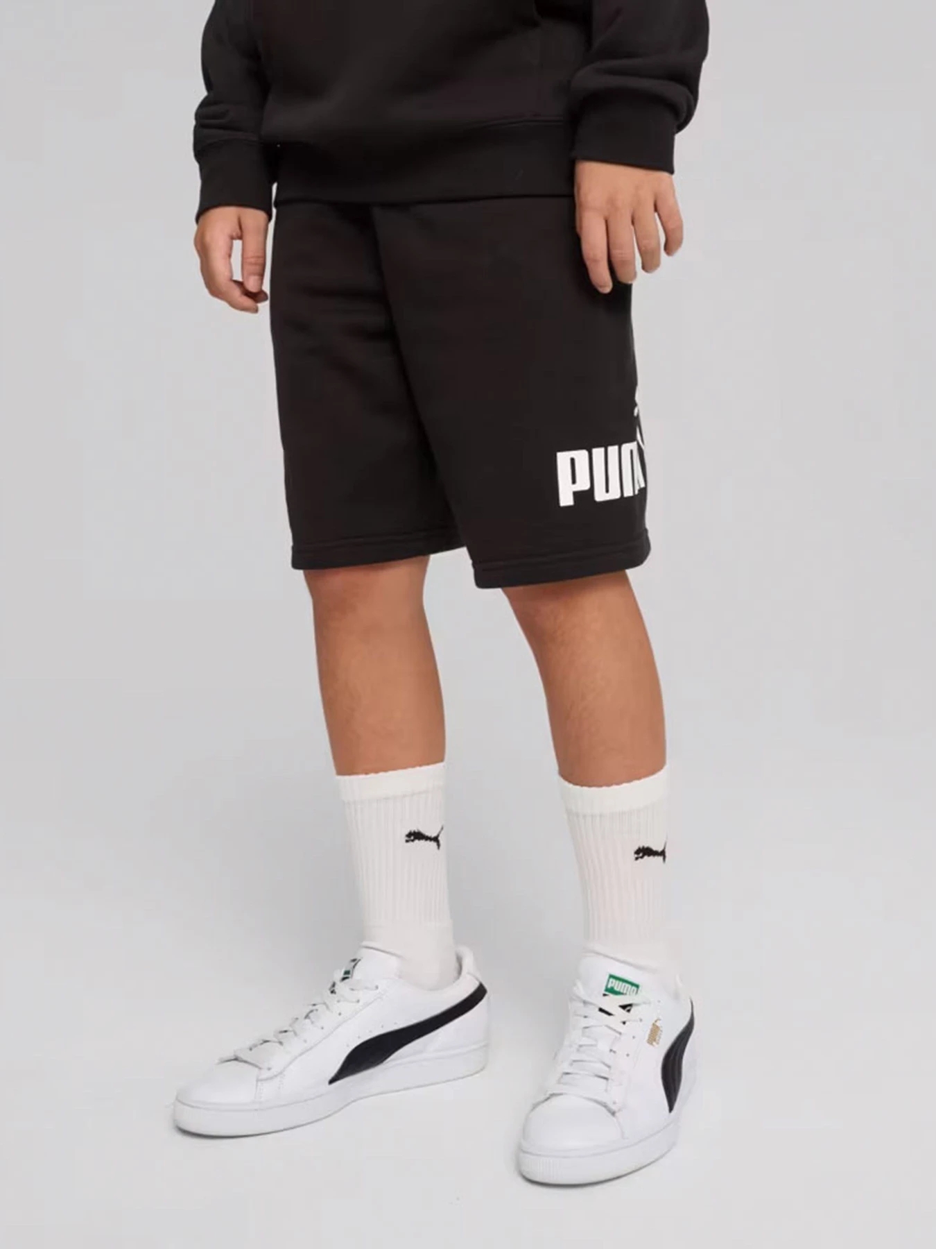 Шорты PUMA ESS NO. 1 LOGO TR B модель 68491801 Фото