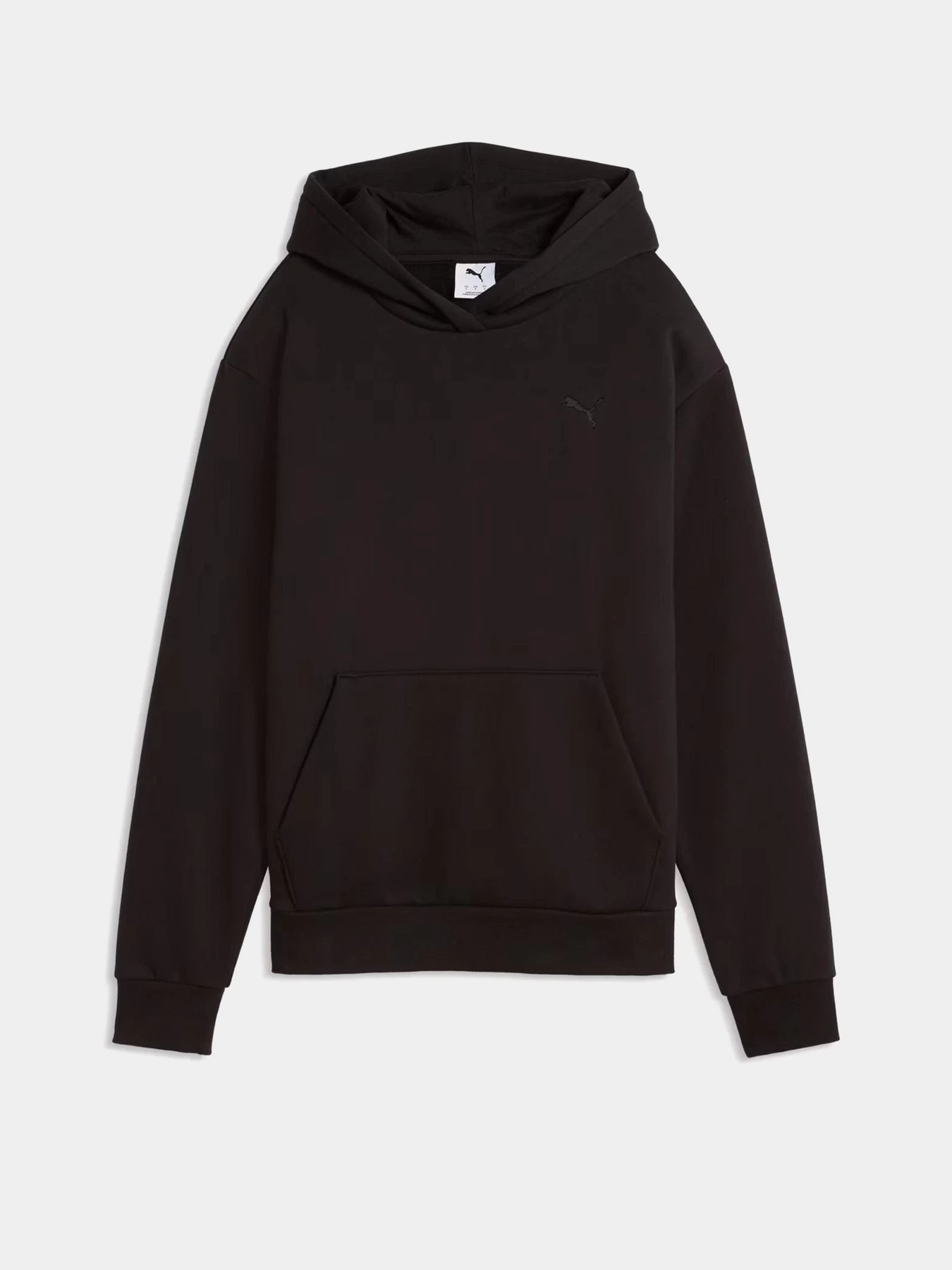 Худи и свитшоты PUMA ESSENTIALS ELEVATED модель 69595301 Фото