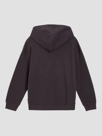 Худі та світшоти Levi's модель A6069;0000 Фото
