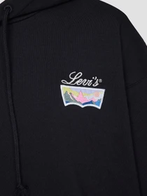 Худі та світшоти Levi's модель A6069;0018 Фото